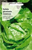 SAATA CUD VORBURGU GOWIASTA MASOWA - 0,5 g 
